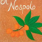 Apartmán Il Nespolo Pomonte
