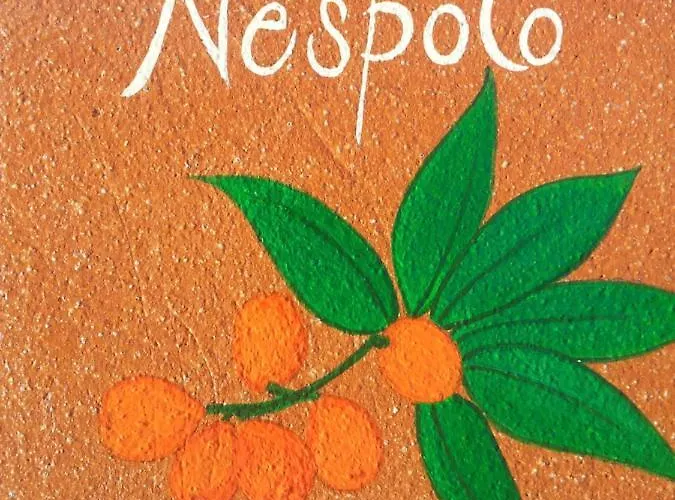 Appartamento Il Nespolo Pomonte